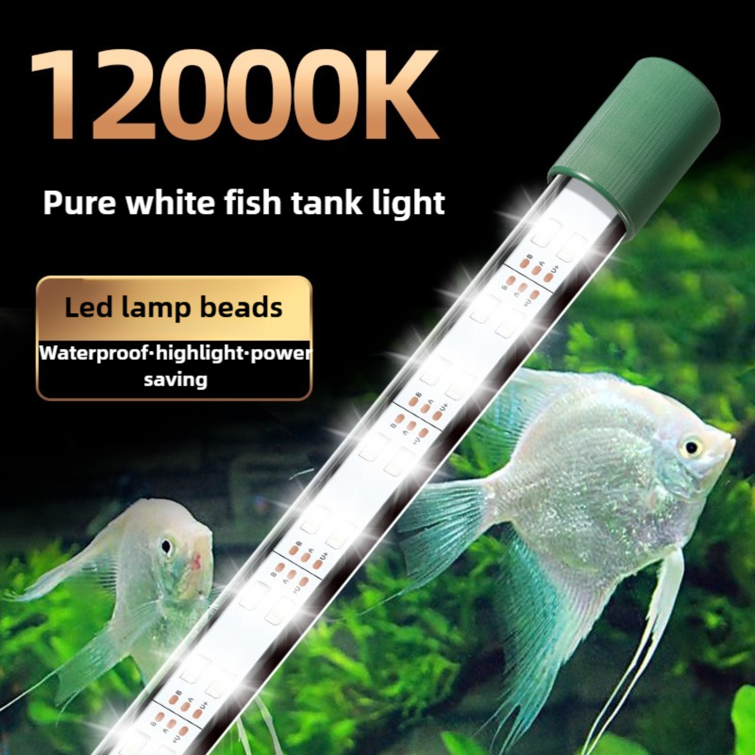 Planted Aquarium Youtube - LED-Aquarium-Lichtröhre, 25 W, Aquarium-Licht, wasserdicht, weißes