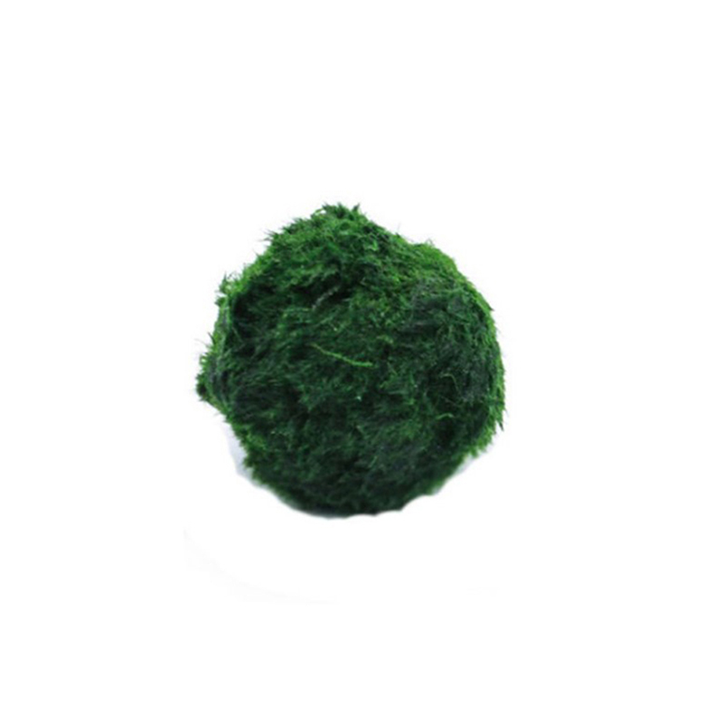 Aquarium Planted Tank Substrate - Marimo Moos Kugeln Live Aquarium Pflanze