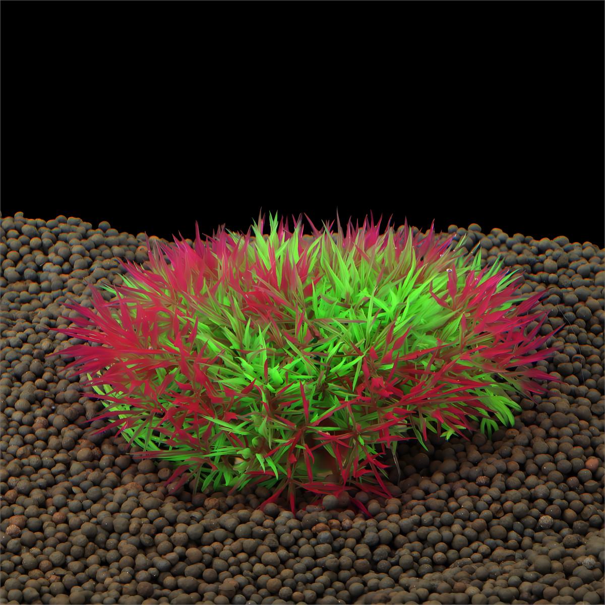 Künstliches Wasserpflanzen-Dek – Aquarium Plant Design Bewertung und Preis
