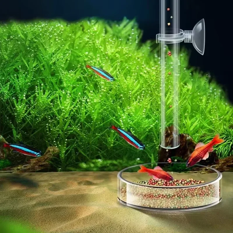 Aquarium Glas-Fütterungsrohr & – Planted Aquarium Youtube Bewertung und Preis
