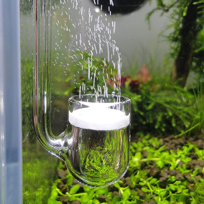 D0AD Glas-CO2-Diffusor für Aqu – Aquarium Plant Design Bewertung und Preis