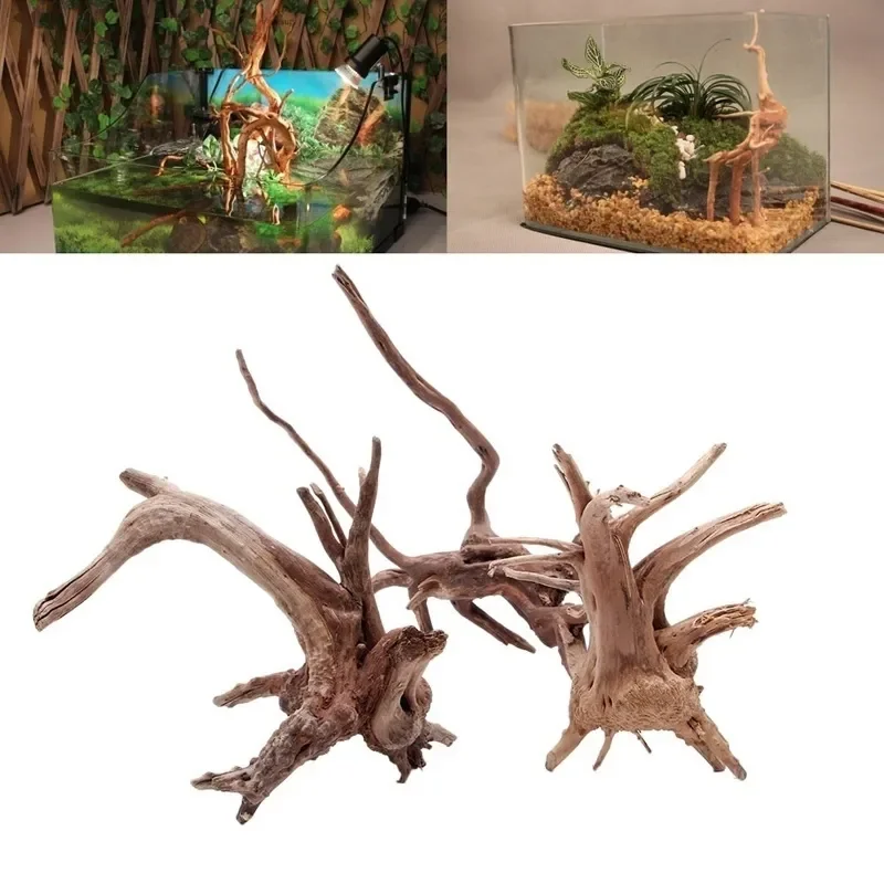 Natürlicher Baumstamm Treibhol – Planted Aquarium Media Bewertung und Preis