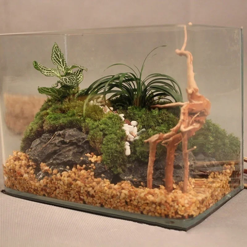 Natürlicher Baumstamm Treibhol – Planted Aquarium Media Bewertung und Preis