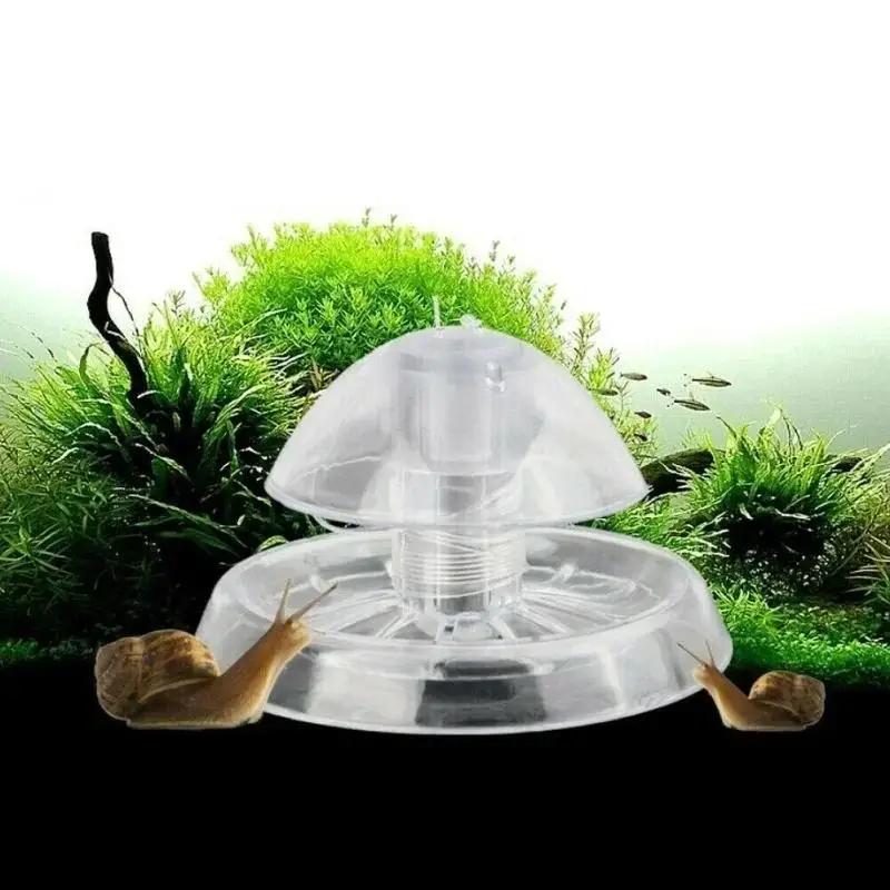 2026 Neu 6/8CM Klare Plastik-S – Aquarium Planted Fish Bewertung und Preis