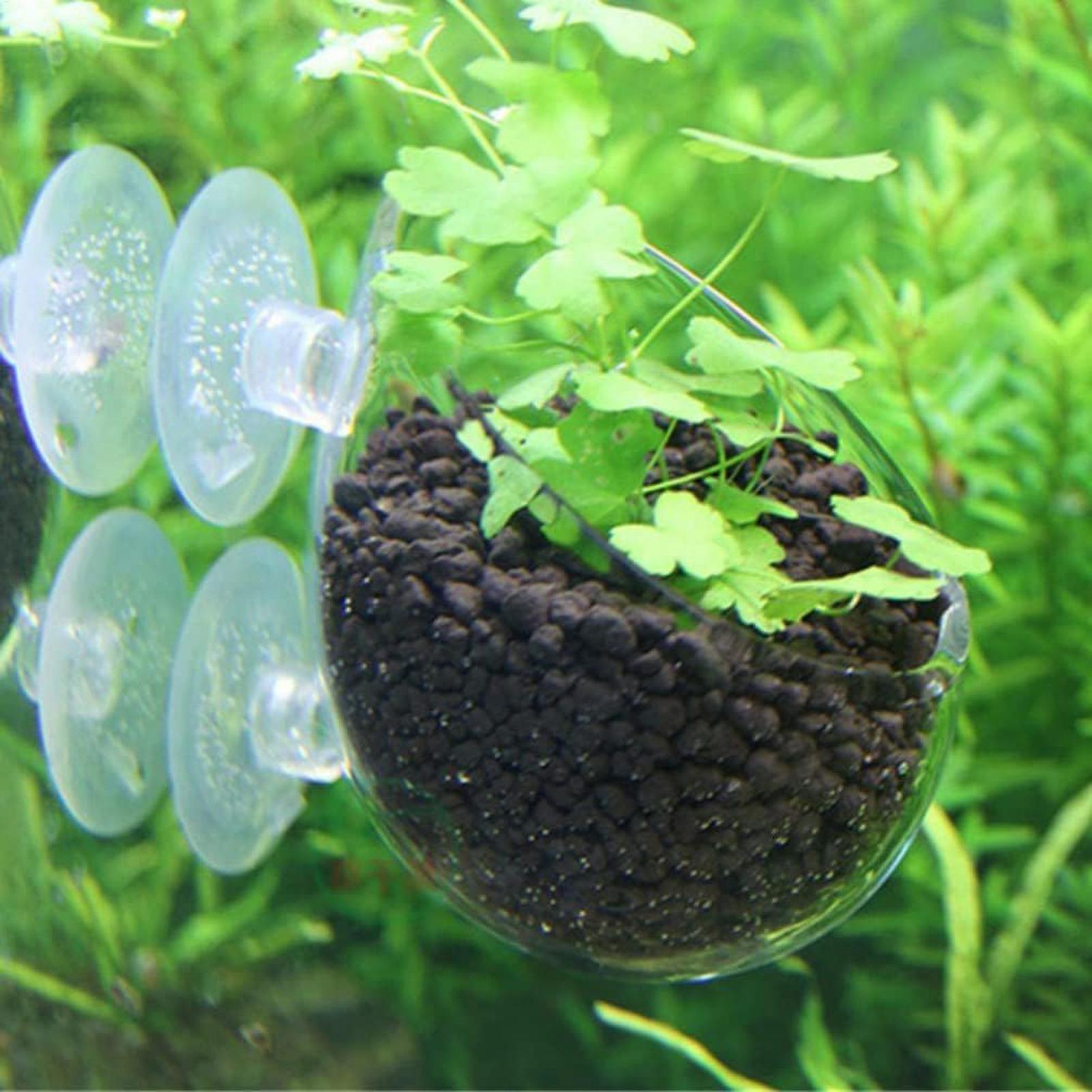 Aquarium-Pflanzenhalter Glas-W – Aquarium Planted Tank Substrate Bewertung und Preis