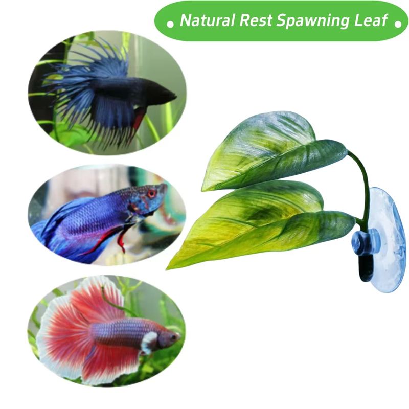 Aquarium-Zubehör Dekoration Kü – Aquarium Planted Fish Bewertung und Preis
