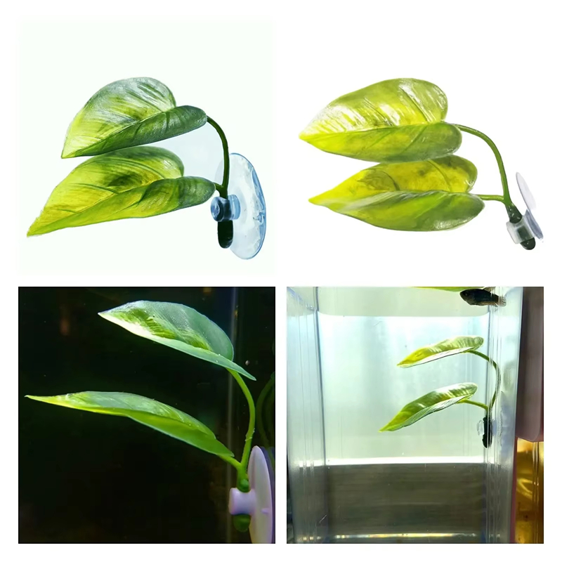 Aquarium-Zubehör Dekoration Kü – Aquarium Planted Fish Bewertung und Preis