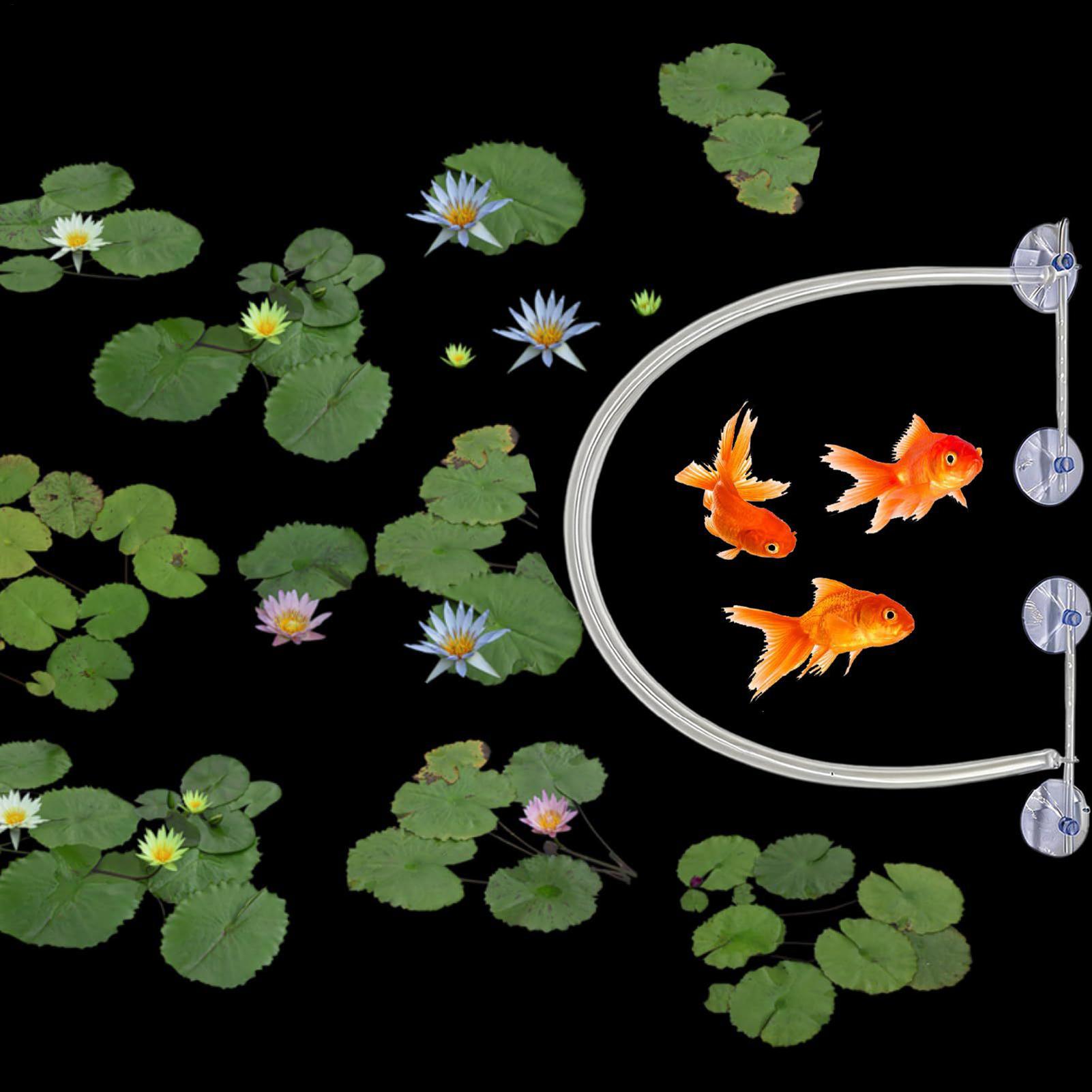 Schwimmender Pflanzenzaun, aut – Planted Aquarium Tank Kit Bewertung und Preis