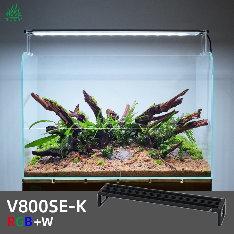 ZXY WEEK ADA Gleicher Typ Wass – Planted Aquarium Ada Bewertung und Preis