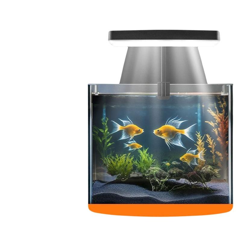 USB-Aquarium-Clipleuchte mit F – Aquarium Planted Fish Bewertung und Preis