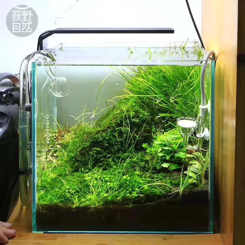Spirituosen C-Serie ADA-Stil P – Planted Aquarium Ada Bewertung und Preis