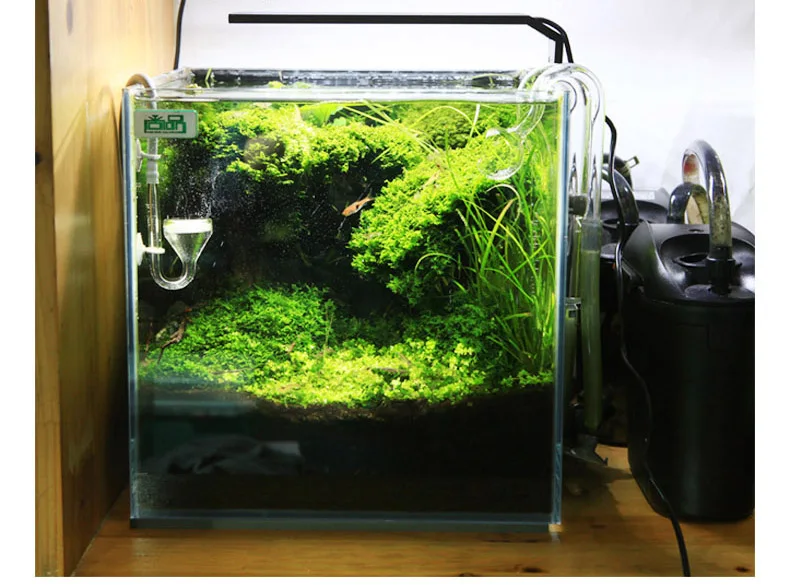 Spirituosen C-Serie ADA-Stil P – Planted Aquarium Ada Bewertung und Preis