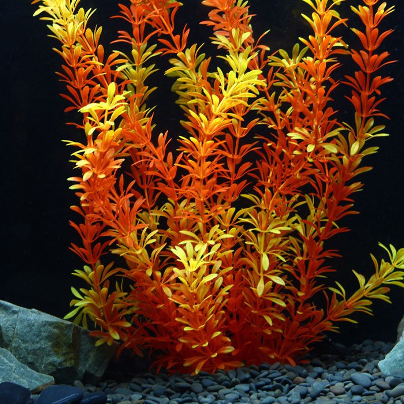 100cm Tropische Pflanzen, Groß – Aquarium Plant Design Bewertung und Preis