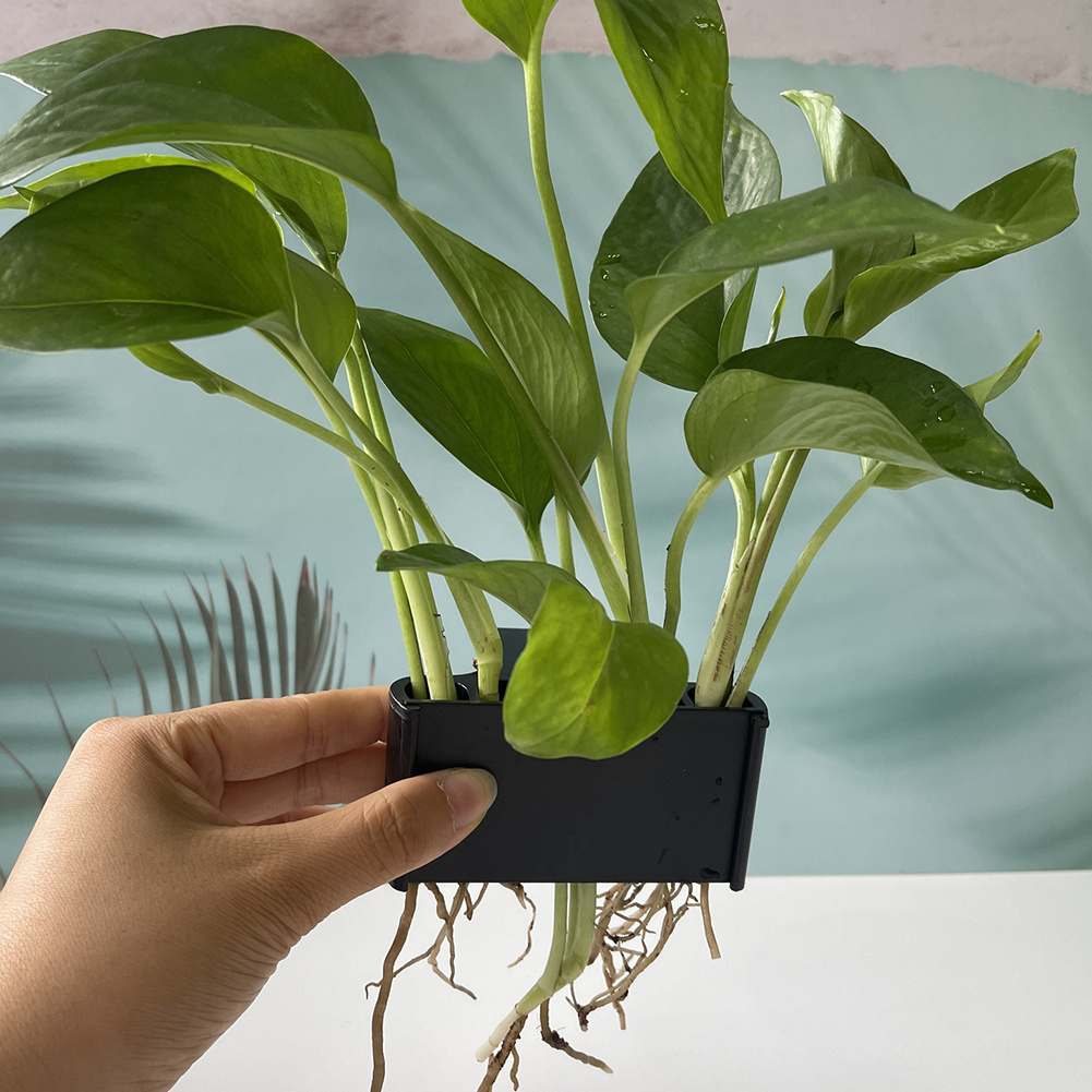 Aquarium-Pflanzenhalter mit Ha – Aquarium Planted Tank Substrate Bewertung und Preis