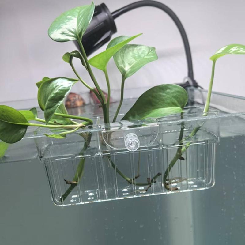 Hydroponischer Pflanzenkorb au – Aquarium Planted Fish Bewertung und Preis