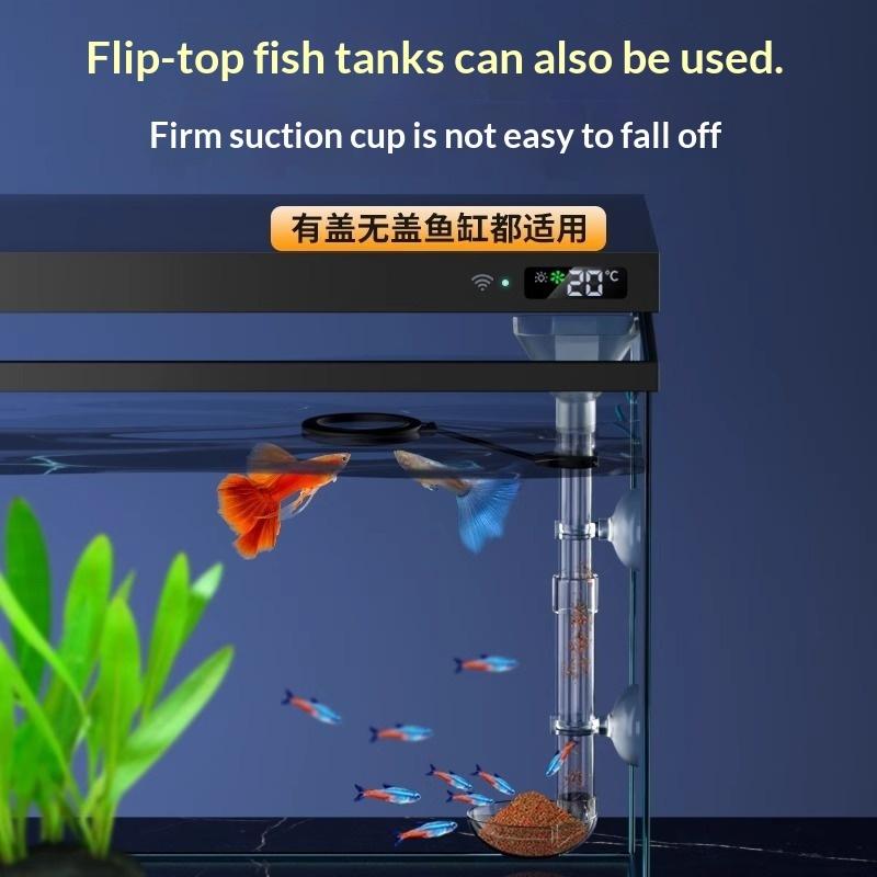 Mit Saugnäpfen verhindert das  – Planted Aquarium Youtube Bewertung und Preis