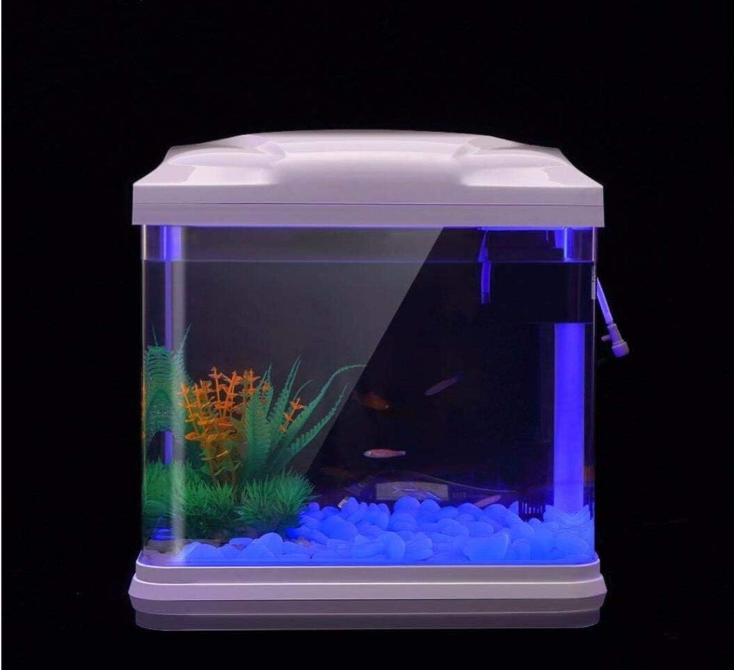 Aquarium-Felsen leuchten blaue – Aquarium Planted Fish Bewertung und Preis