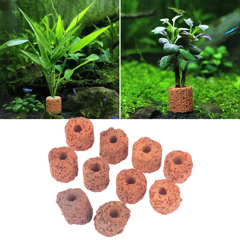 10 Stück Pflanzenringe für Aqu – Planted Aquarium Media Bewertung und Preis