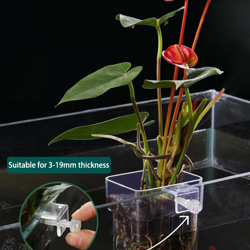 Multifunktion ale Fisch Aquari – Aquarium Planted Fish Bewertung und Preis