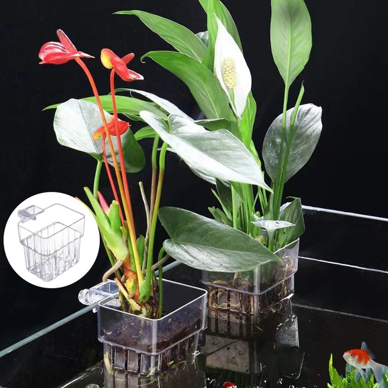 Multifunktion ale Fisch Aquari – Aquarium Planted Fish Bewertung und Preis