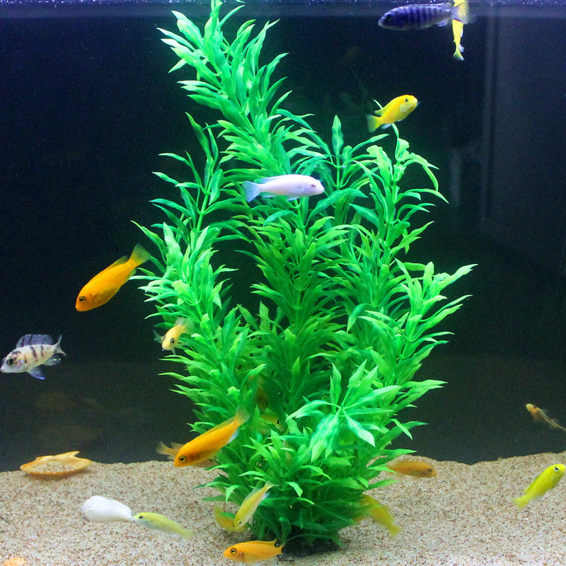 50CM Künstliche Aquarium Selte – Aquarium Plant Design Bewertung und Preis