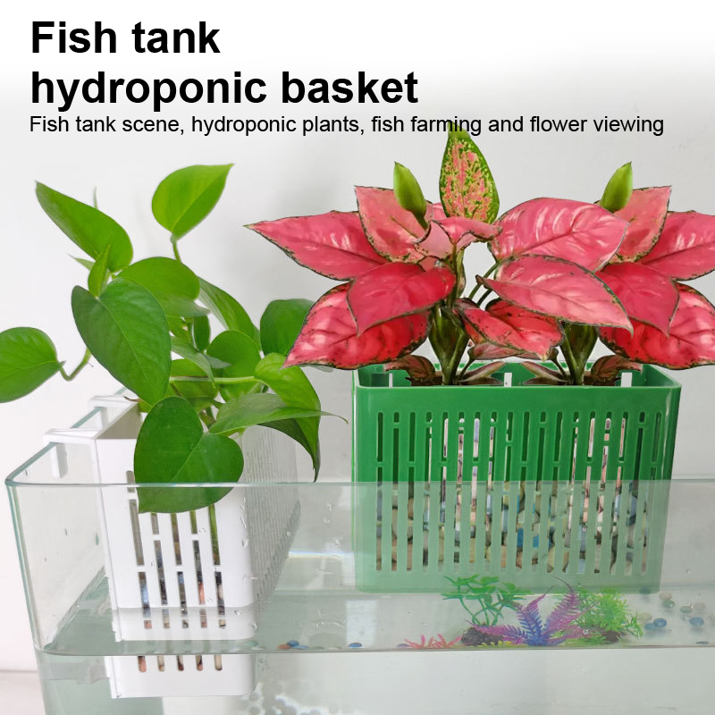 【F】Aquarium-Hängepflanzgefäß,  – Aquarium Planted Fish Bewertung und Preis