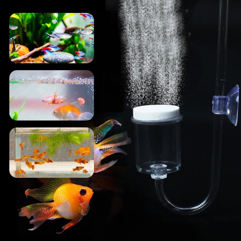 4 stücke Set DIY CO2-Diffusor  – Aquarium Planted Tank Substrate Bewertung und Preis